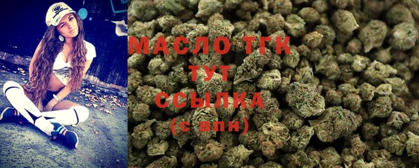 ешки Новодвинск