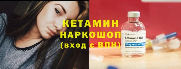 шишки Новокубанск