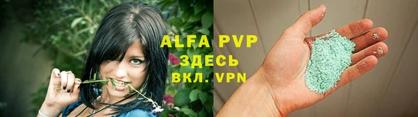 ешки Новодвинск