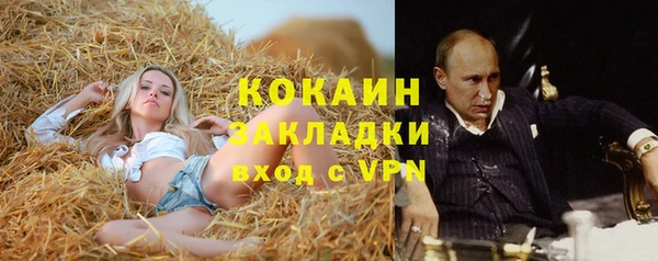 ешки Новодвинск