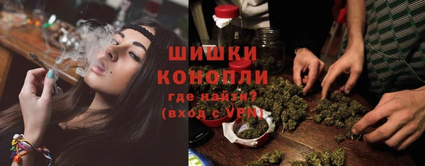 ешки Новодвинск