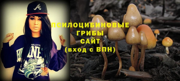 шишки Новокубанск