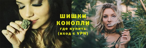 шишки Новокубанск