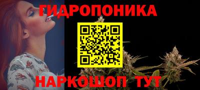 соль ск Канаш