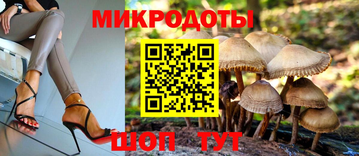 Псилоцибиновые грибы Psilocybe  Галлюциногенные грибы прущие грибы  Кореновск  Вход с VPN 