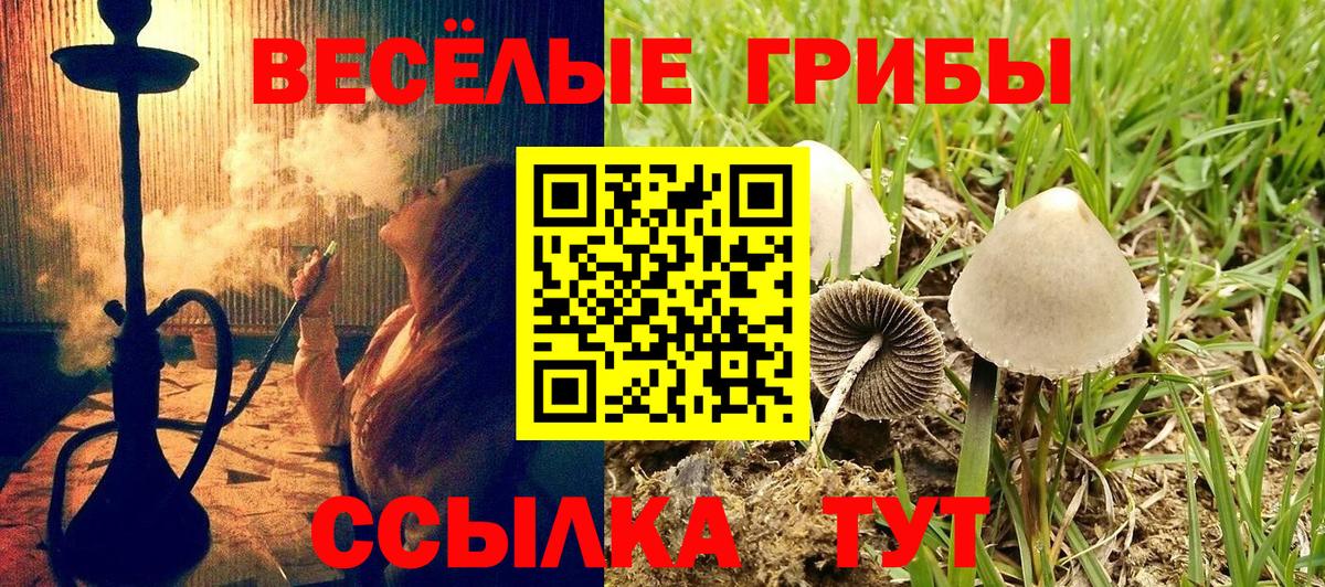 Галлюциногенные грибы ЛСД Кореновск